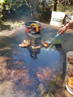 Vasalt csirke in progress