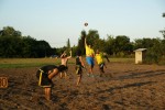 SONY DSC